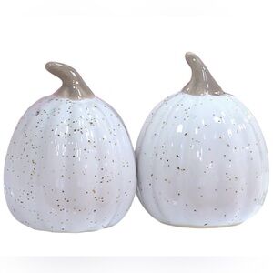 Pumpkin Salt & Pepper Shakers Set White Speckled Ceramic Fall Harvest